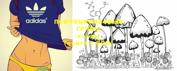 трава Нестеровская